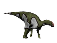 Kritosaurus Dinosaur Fine Art Print on White Background
