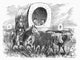 Emigrants Crossing The American Plains Fine Art Print by Granger Collection