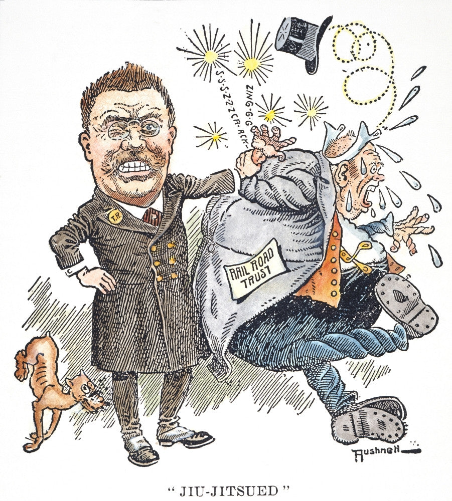 T. Roosevelt Cartoon 'Jiu-Jitsued' Fine Art Print by Granger Collection