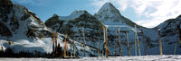 Skis in Snow at Mt Assiniboine - Fine Art Print by Panoramic Images