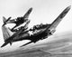 U.S. Navy Douglas SBD Dauntless Dive Bombers Poster Print