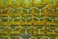 Lobster Traps in Rockport, Massachusetts Fine Art Print