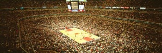 Chicago Bulls Panoramic Poster Print - Chicago, Illinois (37x12)