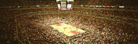 Chicago Bulls Panoramic Poster Print - Chicago, Illinois (37x12)