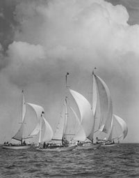 Sailboats in the Sea Fine Art Print - Various Sizes Available