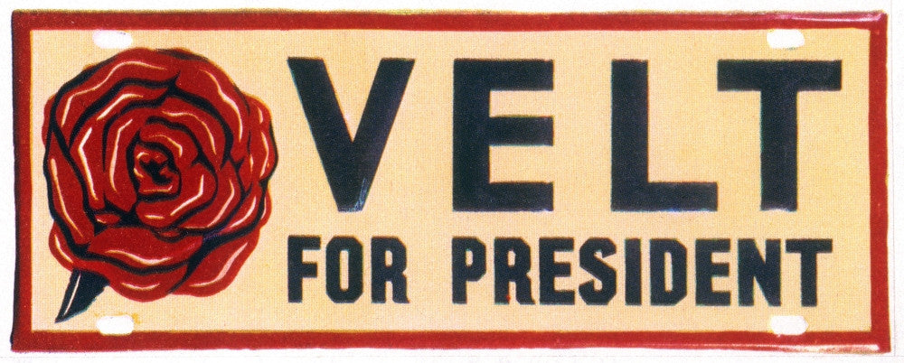 Franklin D. Roosevelt 1932 Presidential Campaign Poster Print