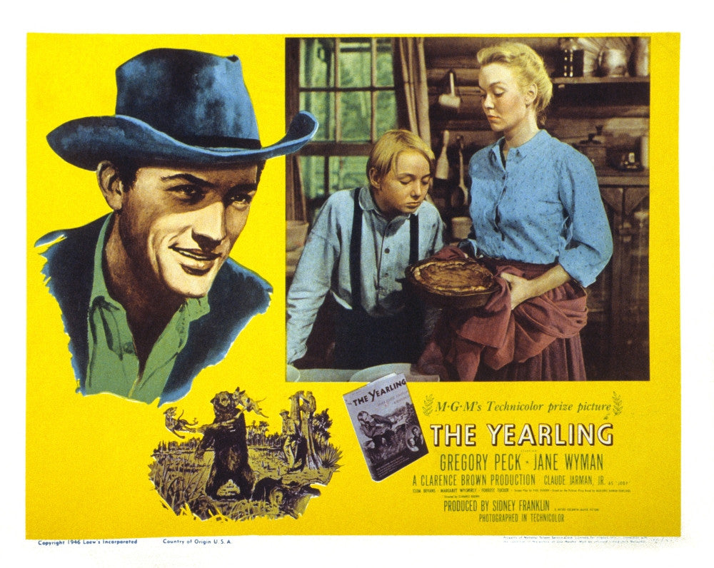 The Yearling Photo Print - Available in Multiple Sizes