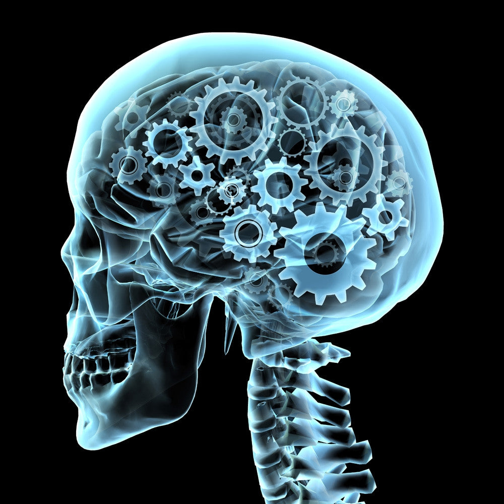 Human Skull X-Ray with Gears Fine Art Print by Hank Grebe