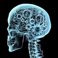 Human Skull X-Ray with Gears Fine Art Print by Hank Grebe