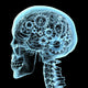 Human Skull X-Ray with Gears Fine Art Print by Hank Grebe