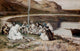 Christ Eating with His Disciples Fine Art Print by James Tissot