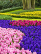 Multicolored Spring Flowers in Lisse, Netherlands Fine Art Print by Terry Eggers