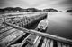 Black and White Boat in Harbour Fine Art Print by Susan Dykstra