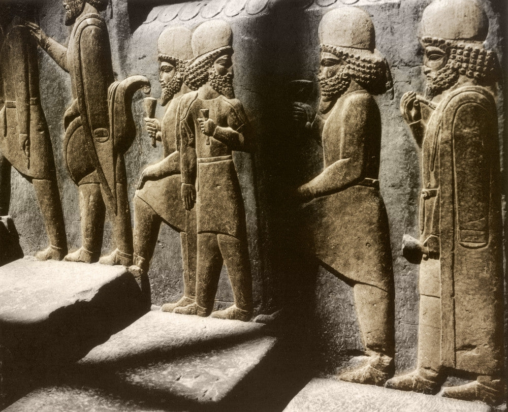 Tribute Bearers Fine Art Print - Persepolis, Iran by Science Source