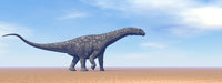 Large Argentinosaurus Dinosaur Walking in the Desert Poster Print