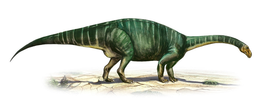 Plateosaurus Engelhardti Fine Art Print - Late Triassic Dinosaur