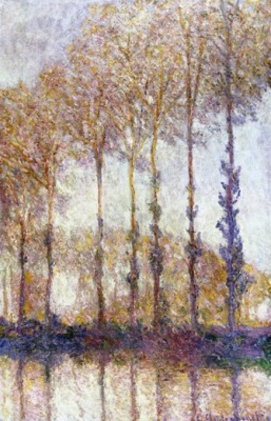 Claude Monet Poplars Fine Art Print - Title Unknown