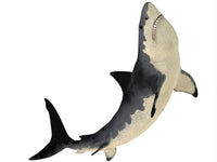 Megalodon Shark Fine Art Print from the Cenozoic Era