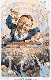 Theodore Roosevelt 1904 Presidential Campaign Cartoon Print
