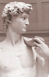 David-Detail Fine Art Print (1501-1504) by Michelangelo Buonarroti
