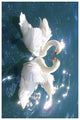 Swans on Water Vintage Art Print - High Quality Reproduction
