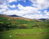 Sperrin Mountains Fine Art Print by The Irish Image Collection