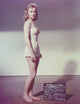 Anne Francis Wardrobe Still Alta Profile Photo Print