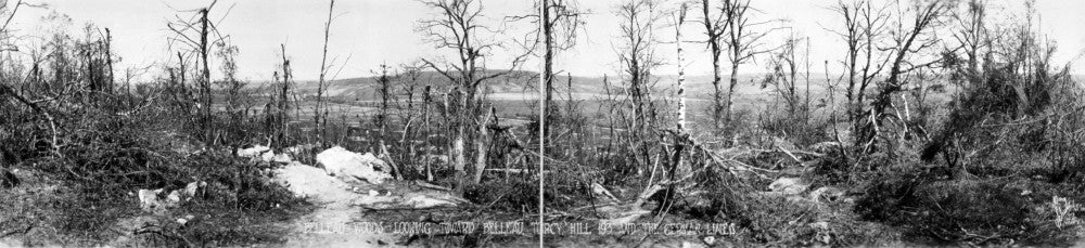 Belleau Wood Panoramic Photograph (1919) - Fine Art Print by Granger Collection