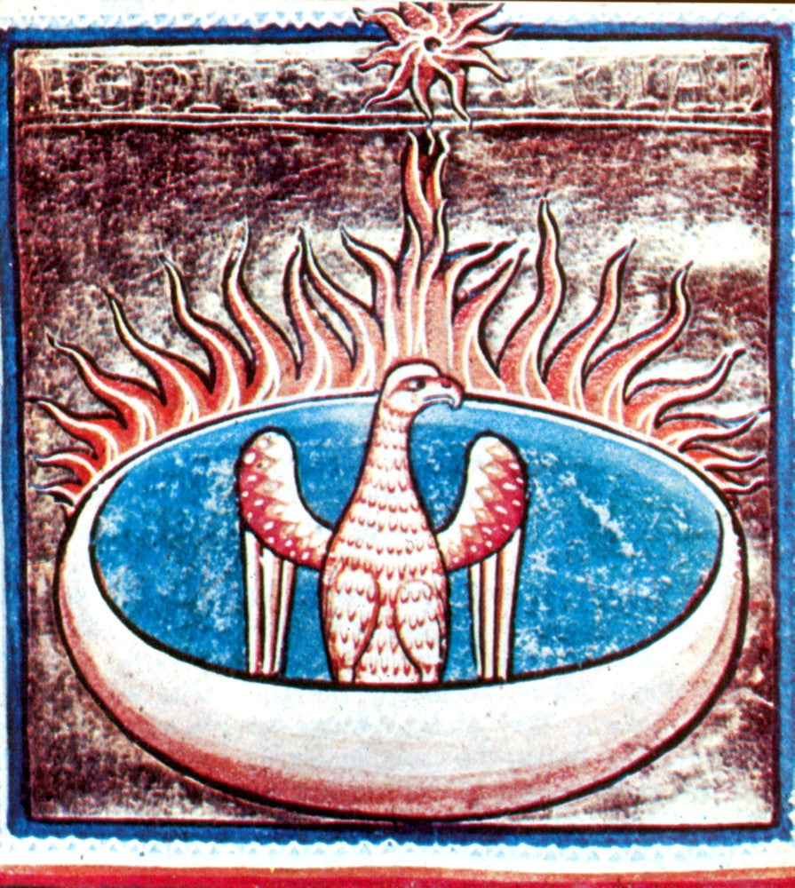 Phoenix Legendary Creature Fine Art Print by Science Source