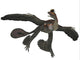 Microraptor Flying Dinosaur Poster Print - Cretaceous Period