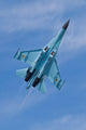 Ukrainian Air Force Su-27 Flanker Fine Art Print by Timm Ziegenthaler
