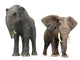 Deinotherium vs African Elephant Fine Art Print