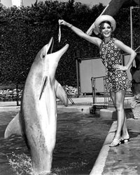 Natalie Wood Feeding Dolphin Photo Print - Premium Quality