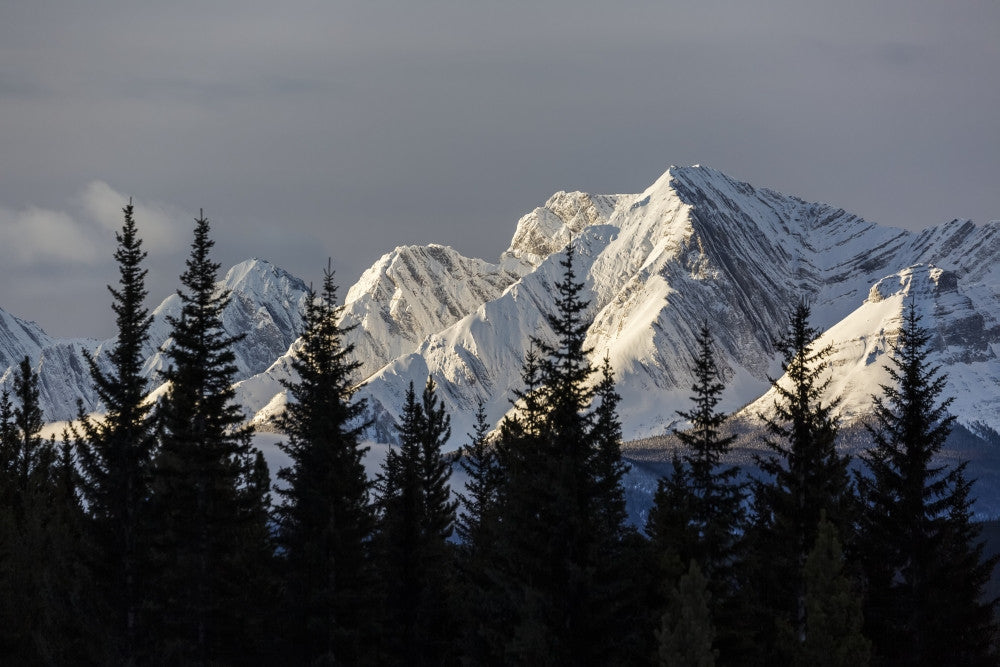 Snow-Capped Mountains at Dawn with Silhouetted Forest Art Print by Michael Interisano