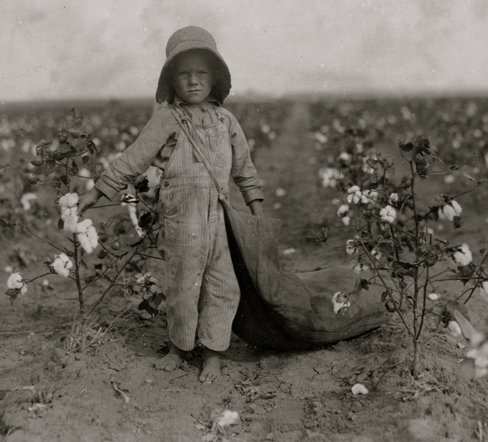 5-Year-Old Harold Walker Picks Cotton Fine Art Print