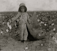 5-Year-Old Harold Walker Picks Cotton Fine Art Print