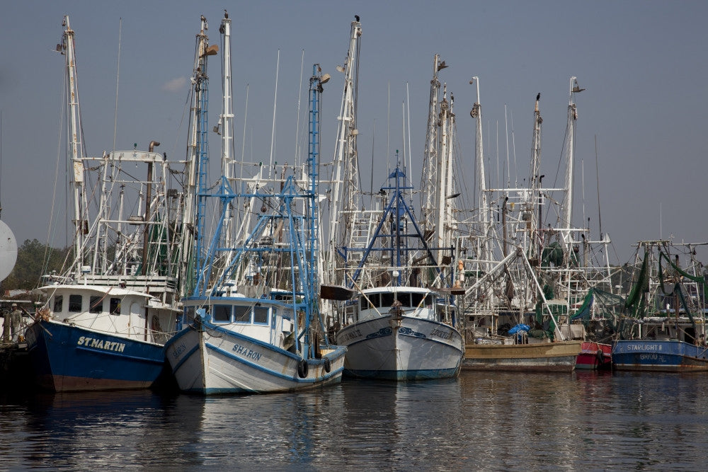 Bayou La Batre Fishing Village Fine Art Print by Carol Highsmith