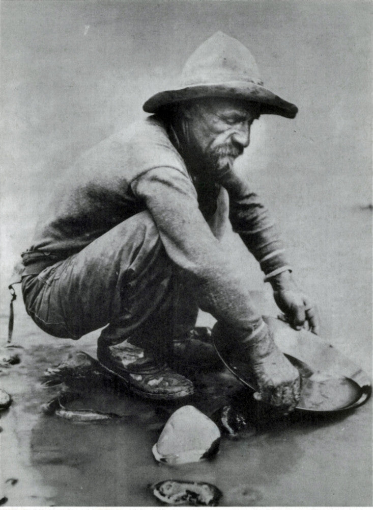 California Gold Rush Fine Art Print by Science Source