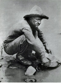 California Gold Rush Fine Art Print by Science Source