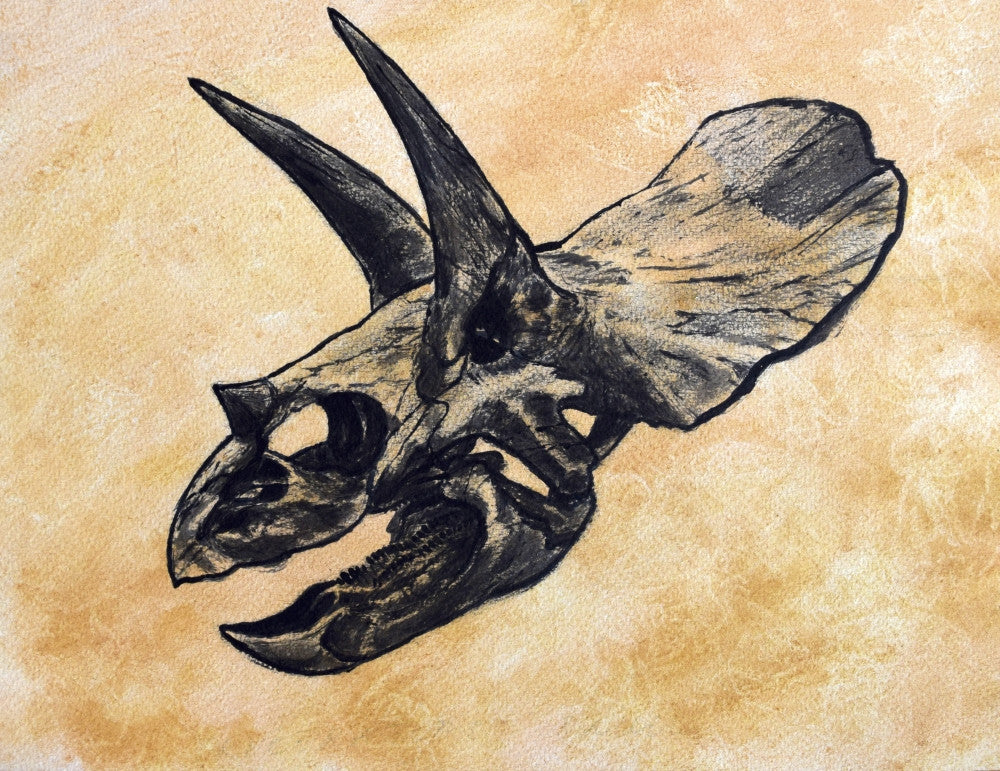Triceratops Dinosaur Skull Fine Art Print on Textured Background