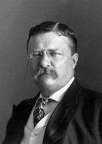 Portrait of President Theodore Roosevelt (1904) Fine Art Print
