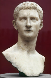 Caligula Roman Marble Bust Fine Art Print by Granger Collection