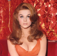 Ann Margret Headshot Red Photo Print - Premium Quality