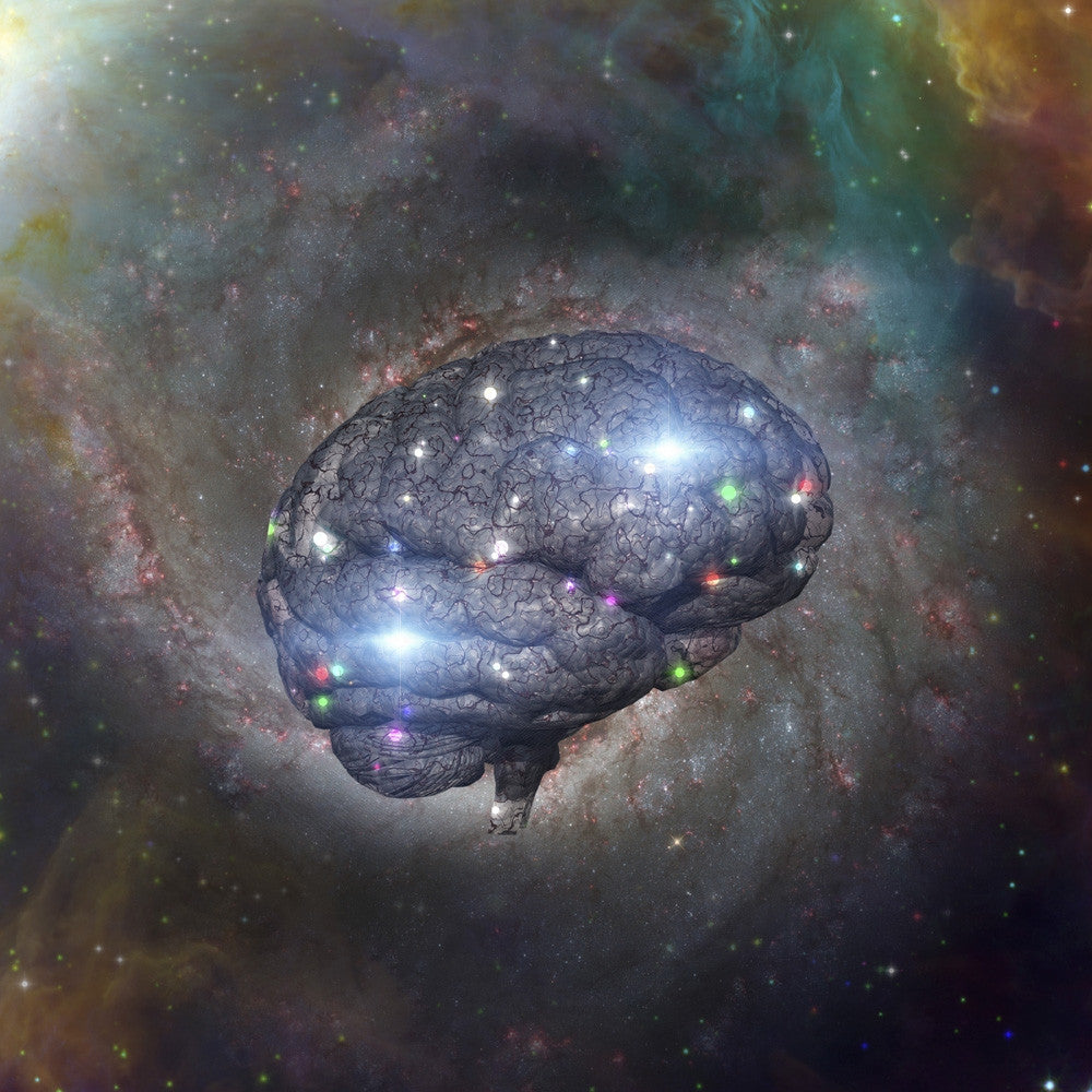 Cosmic Brain in Vivid Space Fine Art Print by Bruce Rolff