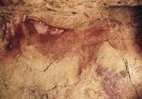 Cave Paintings of Animals - Prehistoric Art Print from Altamira Caves, Spain