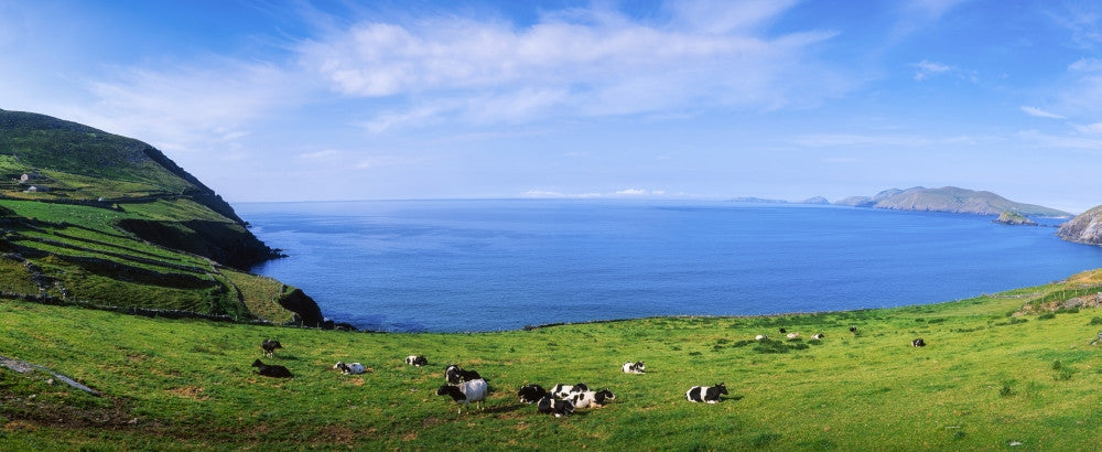 Slea Head, Blasket Islands Fine Art Print by The Irish Image Collection