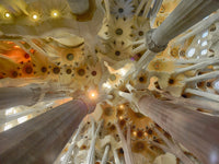 Sagrada Familia Ceiling Architectural Detail Poster Print by Panoramic Images