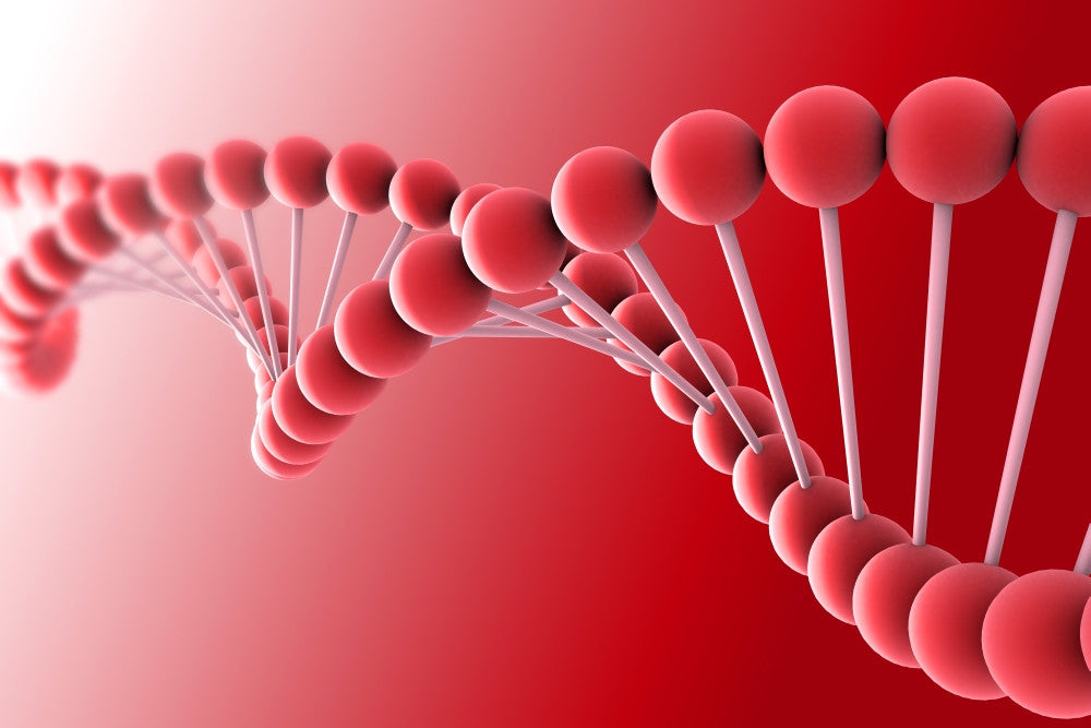 Conceptual DNA Artwork Fine Art Print - Available in 17x11 & 34x23 Sizes