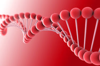 Conceptual DNA Artwork Fine Art Print - Available in 17x11 & 34x23 Sizes