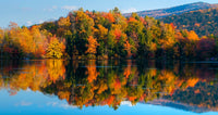 Reflection of Autumn Trees in a Lake Fine Art Print by Panoramic Images